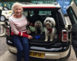 Barbara has chosen this 2012 MINI One Clubman in Pepper White with Pepper Pack 5 Seats & Lots of Extras