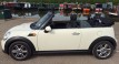 2010 / 60 MINI Cooper Convertible Chili Pack in Pepper White