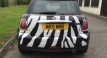 INTRODUCING DEBORAH THE ZEBRA SHE’S WILD  2009 MINI COOPER