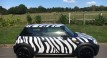 INTRODUCING DEBORAH THE ZEBRA SHE’S WILD  2009 MINI COOPER