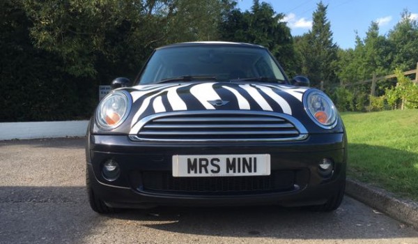 INTRODUCING DEBORAH THE ZEBRA SHE’S WILD  2009 MINI COOPER